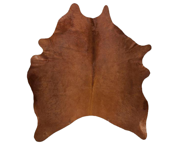LT4 (For Tannery)